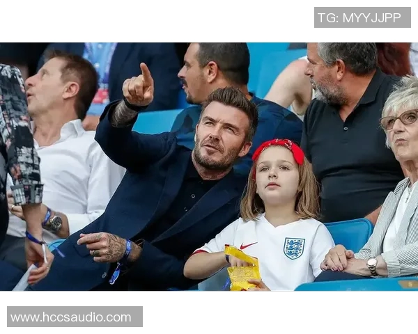 足球明星为何钟情于树木探险与自然亲密接触的奇妙体验