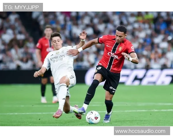 足球明星养马的背后故事揭秘与他们的马匹情缘 足球明星养马的背后故事揭秘与他们的马匹情缘