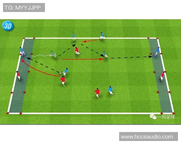 足球明星眼中的台湾足球魅力与发展潜力探讨
